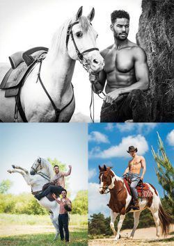 Ansichtkaarten 3 stuks van Horse and Hunk