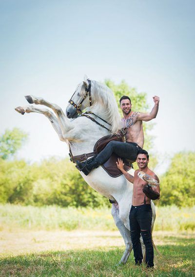 Ansichtkaarten 3 stuks van Horse and Hunk - Afbeelding 4