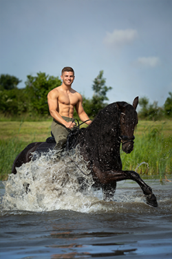 Canvasdoek juni Horse and Hunk kalender 2020
