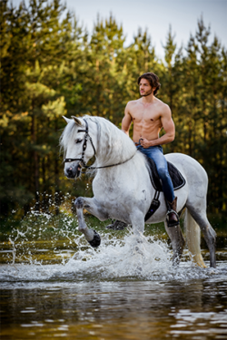 Canvasdoek cover Horse and Hunk kalender 2022