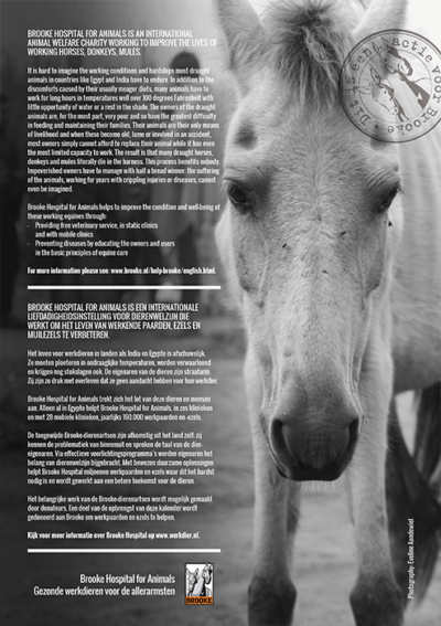 Horse and Hunk kalender 2023 - Afbeelding 2
