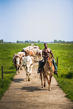 Canvasdoek maart Horse and Hunk kalender 2024