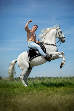 Canvasdoek juli Horse and Hunk kalender 2025