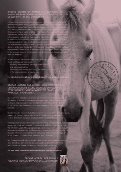Horse and Hunk kalender 2026 - Afbeelding 2