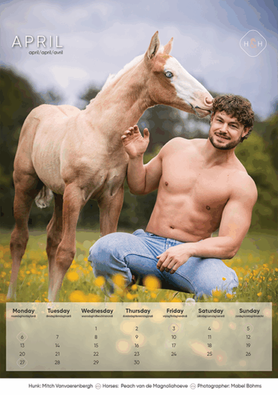 Horse and Hunk kalender 2026 - Afbeelding 10