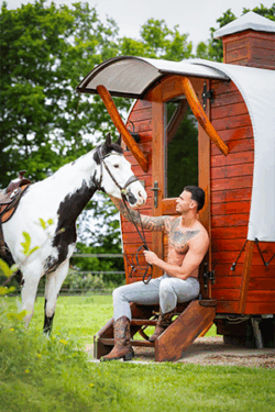 Canvasdoek juli Horse and Hunk kalender 2026