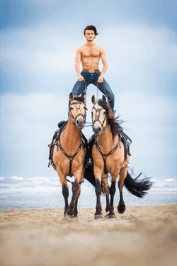Canvasdoek augustus Horse and Hunk kalender 2026